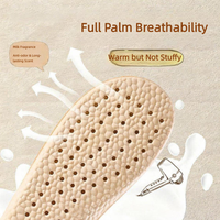 Semelles intérieures en polaire d'agneau chaudes pour l'hiver, pour chaussures Birkenstock, absorbant la transpiration, désodorisantes, respirantes, confort toute la journée