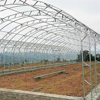 Structure de serre Zhuotai de marque chinoise avec couverture en film offrant une protection excellente contre le vent et la neige