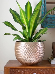 Pot de fleurs texturé en métal, best-seller, pour jardinage intérieur et extérieur, décoration de la maison, utilisation dans les hôtels et les cafés, disponible à la vente - Product Image 4