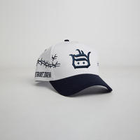 Proveedor de Gorras Tipo A, MOQ Bajo, Gorras Personalizadas al por Mayor para Hombres y Mujeres, Gorras Nuevas de Alta Calidad, Gorras de Béisbol de Dos Tonos de Algodón