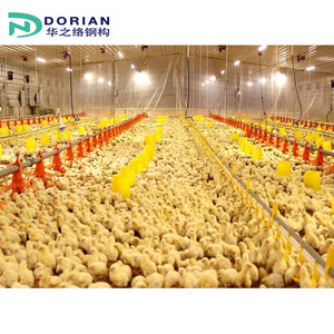 Đúc sẵn gà điều khiển đổ gia cầm trang trại Giá để Pakistan cho gà - Product Image 3