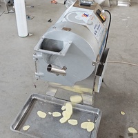 Multifunctionele Groentechopper En Snijder Groentefruitchips Snijmachine Roestvrijstalen Groentehakselaar