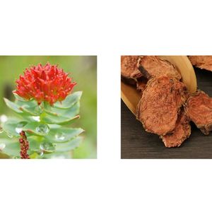 Концентрированный экстракт родиолы розовой 3% гликозид-порошок без отвара, китайская травяная медицина - Product Image 3