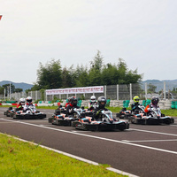 Fabricante Directo de Go Karts para Adultos de 200cc, 270cc y 390cc para Negocios de Alquiler