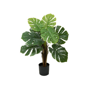 Cây Nhân Tạo Ficus Thông Giả Cho Trang Trí Nội Thất Trang Trí Nội Thất <span class=keywords><strong>Palm</strong></span> Chuối Cho Trang Trí Ngoài Trời Trong Nhà Cây Vàng Cây Nhân Tạo - Product Image 5