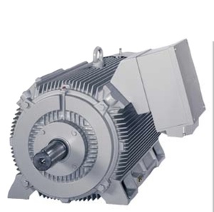 มอเตอร์เรือ SIMOTICS DP มอเตอร์ทางทะเล มอเตอร์ขับเคลื่อนทางทะเล - Product Image 1