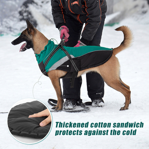 Водонепроницаемая спортивная куртка для собак - Product Image 4