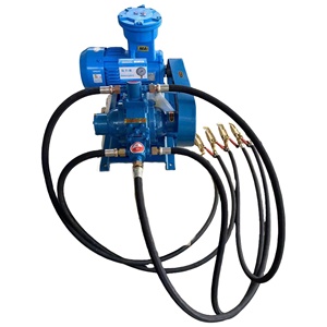 ปั๊มวาล์ว LPG ปั๊มเติมถังแก๊ส LPG ปั๊มแก๊ส LPG รุ่น YQB - Product Image 1