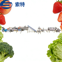 Ligne d'élevage et de lavage pré-impulsionnement pour pommes de terre, fruits et légumes - 500 kg, motorisée, en acier inoxydable SUS 304/316, haute capacité, commande automatique