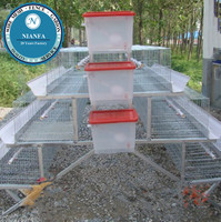Nid de ponte à 24 trous pour poules pondeuses, en treillis soudé, équipement de cage à poules, clôture agricole en fil métallique - Directement de l'usine de Guangzhou