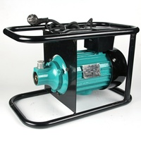 NEAT Interner Japanischer/Dynapac-Typ Elektrischer Betonvibrator-Motorantrieb 220V/380V 1,5-2,2kW 50/60Hz Geringe Wartungskosten