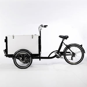 Vélo <span class=keywords><strong>cargo</strong></span> Portable de <span class=keywords><strong>petit</strong></span> budget, standard européen sans taxes pour la famille, transport de dernier mile, livraison assistée électrique - Product Image 4