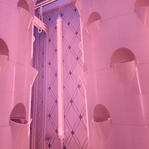 Sistema de <span class=keywords><strong>Torre</strong></span> Hidropónica Automática para Invernadero con Bomba para Cultivo Vertical Interior e Irrigación por Cultivo en Agua Profunda - Product Image 3