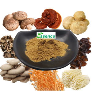 Extracto Natural de <span class=keywords><strong>Agaricus</strong></span> Bisporus en Polvo, Polisacáridos, Extracto de Hongo <span class=keywords><strong>Agaricus</strong></span> Bisporus - Product Image 4