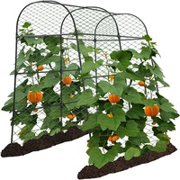 Arche métallique antirouille durable et écologique de 7 pieds pour jardin, pergola, treillis et plantes grimpantes