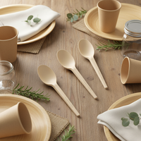 Ustensiles jetables verts personnalisables en CPLA PLA biodégradable et compostable, cuillères pour aliments chauds et froids