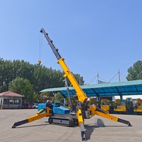 Vente en gros usine Grue araignée télescopique mini Liyuan 3, 5 et 8 tonnes, 15 m