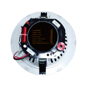 Altoparlante da Soffitto Coassiale da <span class=keywords><strong>6</strong></span> <span class=keywords><strong>Pollici</strong></span> OEM/ODM con Qualità Audio Impressionante, Subwoofer Senza Cornice da 20W per Home Theatre - Product Image 5