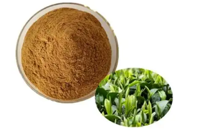 Free Shipping 1Pack 100pcs <strong>Green</strong> Tea <strong>Extract</strong> + <strong>Green</strong> Coffee Beans <strong>Apple</strong> Cider Vinegar Powder Herbal <strong>Extract</strong> Health Food Grade - Product Image 4