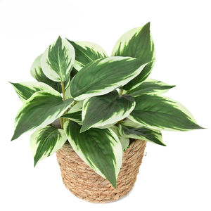 Tanaman hijau buatan daun besar dekorasi interior lanskap - Product Image 2