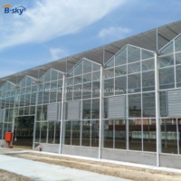 Serre en verre multi-chapelles à grande capacité, économe en énergie, avec structure stable pour l'agriculture commerciale et la culture en serre