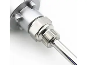 Capteur industriel <span class=keywords><strong>double</strong></span> <span class=keywords><strong>PT100</strong></span> en platine avec thermocouple à filetage fixe pour le contrôle de la température (OEM/ODM) - Product Image 3