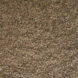 Semillas de Ortiga Orgánicas Silvestres Naturales de Alta Calidad al por Mayor, Originarias de China, para Uso Alimentario - Product Image 2