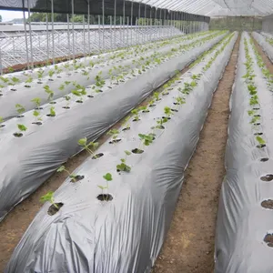 Filme plástico para produção agrícola ou jardim, fornecedor degradável da fábrica