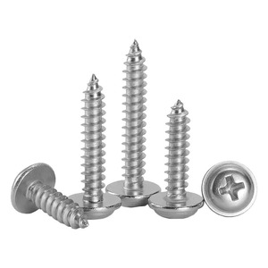 201 Stainless Steel Phillips Pan Head Self Tapping Screws M2 M3 M4 M5 For Metal Construction Industry - Product Image 2