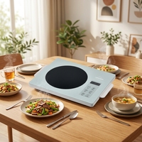 Cuisinière à induction portable à brûleur unique, plaque en cristal et commande tactile, facile à nettoyer