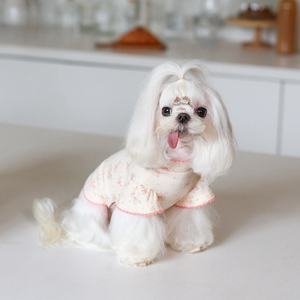 2024 penjualan terbaik manis bunga peliharaan kaus anjing musim gugur musim dingin dua kaki pakaian - Product Image 6