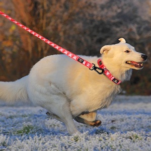 Großhandel Fabrik verstellbare Nylon Hunde halsband Thermische <span class=keywords><strong>Sublimation</strong></span> Polyester Material Bedrucktes Hunde halsband - Product Image 6