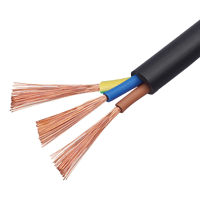 Kabel Daya Fleksibel PVC Inti Terpilin 2 3 4 5 Core RVV 2.5mm2 4mm2 6mm2 10mm2 16mm2 untuk Bangunan dan Industri
