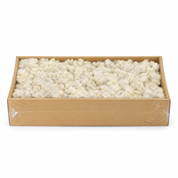 Mousse de renne stabilisée en boîte, mousse éternelle naturelle pour mur végétal, micro-paysage, arrangement floral, décoration artisanale DIY