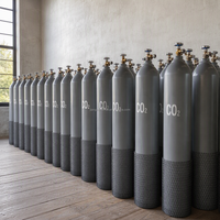 Gas Dióxido de Carbono CO2 de Grado Industrial 99.99% 40L 50L 150Bar Cilindro de Acero Recargable para Aplicaciones de Soldadura MIG TIG