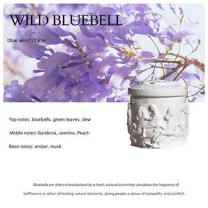 Vela de aromaterapia de alivio de gama alta, fragancia de nicho, cera de soja sin humo, dormitorio de aromaterapia, literario de gama alta - Product Image 6