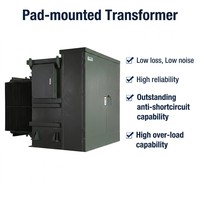 Transformateur triphasé sur socle Pearl Electric 1250KVA 24.9KV à faible impédance pour l'alimentation des hôpitaux