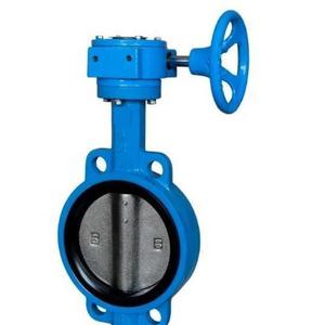 Válvula de mariposa de acero inoxidable 123652 para uso general en petróleo y gas - Product Image 3