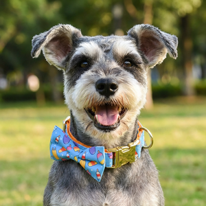 Collier pour chien MIDEPET <span class=keywords><strong>de</strong></span> haute qualité à dégagement rapide, motif dessin animé mignon, nœud papillon, accessoires <span class=keywords><strong>de</strong></span> luxe en alliage, nylon et polyester, pour la promenade, imprimé - Product Image 1