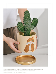 Maceta de Cerámica con Diseño de Gato de Dibujos Animados, con Bandeja, Diseño Abstracto Nórdico, Maceta Redonda para Fresas, Suculentas y Pothos - Product Image 5