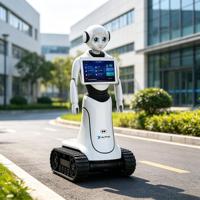 13.3 İnç Dokunmatik Ekranlı Çok Dilli Sesli OEM İnsansı Alice Yapay Zeka Resepsiyon Rehberi Robotu