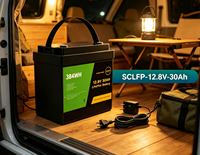 Loxeny SCLFP-12.8V-30 12.8V 30Ah Baterai LiFePO4 Solid State 384Wh Deep Cycle Smart BMS 6000+ Siklus untuk Penyimpanan Energi Surya