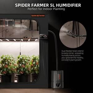 Spider Farmer 3-en-1 5L Cool Mist Ultrasonic Indoor Grow Tent Plant Humidificador con sonda de temperatura y humedad - Product Image 5