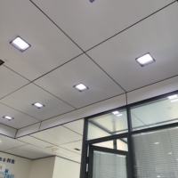 Panneaux en nid d'abeille en aluminium de qualité A2, structure murale personnalisée, respectueux de l'environnement, résistant aux UV, résistant au feu, revêtement en film PVC 2