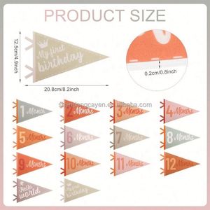 Customizable <b>Blank</b> Digital Printing Bunting Promotional Appliqued Embroidery Logo Automotive <b>Pennant</b> Flag <b>Felt</b> Aluminum Flagpole - Product Image 4