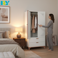 Armoire de rangement moderne en acier avec tringle de suspension, penderie métallique imprimée, idéale pour les maisons, appartements ou hôtels.