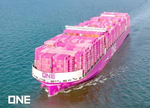 Servicio de Envío DDP Más Rápido, Almacén de <span class=keywords><strong>Amazon</strong></span> FBA, POC1-POC3, Logística de Carga LCL+Express, Logística ZC de EE. UU., 16-23 Días, Soporte 24/7 - Product Image 6