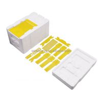 Mini ruche en mousse de polystyrène, kit de démarrage d'apiculture en plastique, boîte d'accouplement pour abeilles