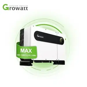 Growatt Max 1Mw Solar Inverter 100kw Inverter Prijs Grid Tie 500kw 125kw 120kw 100kw 110kw Omvormer Op Grid Zonnestelsel