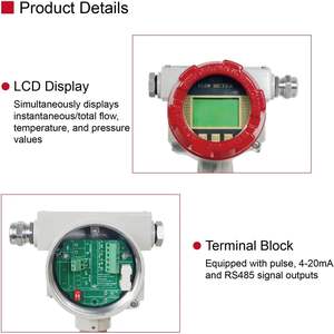 Medidor De Fluxo De Massa Térmica para A Medição De Microflow O Nitrogênio 4-20Ma/RS485 Do Oxigênio Do Gás Natural Do Ar Comprimido Saída Dn32 1 - Product Image 6